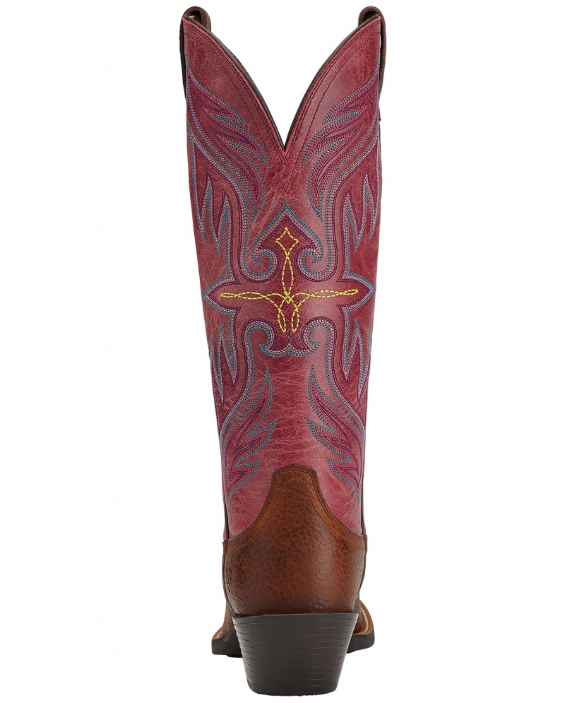 ariat round up buckaroo