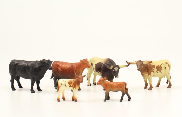 toy cow set