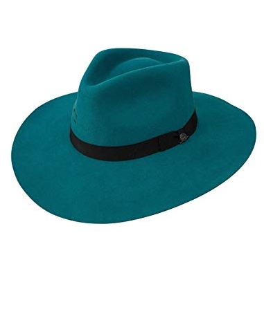 charlie 1 horse highway hat teal